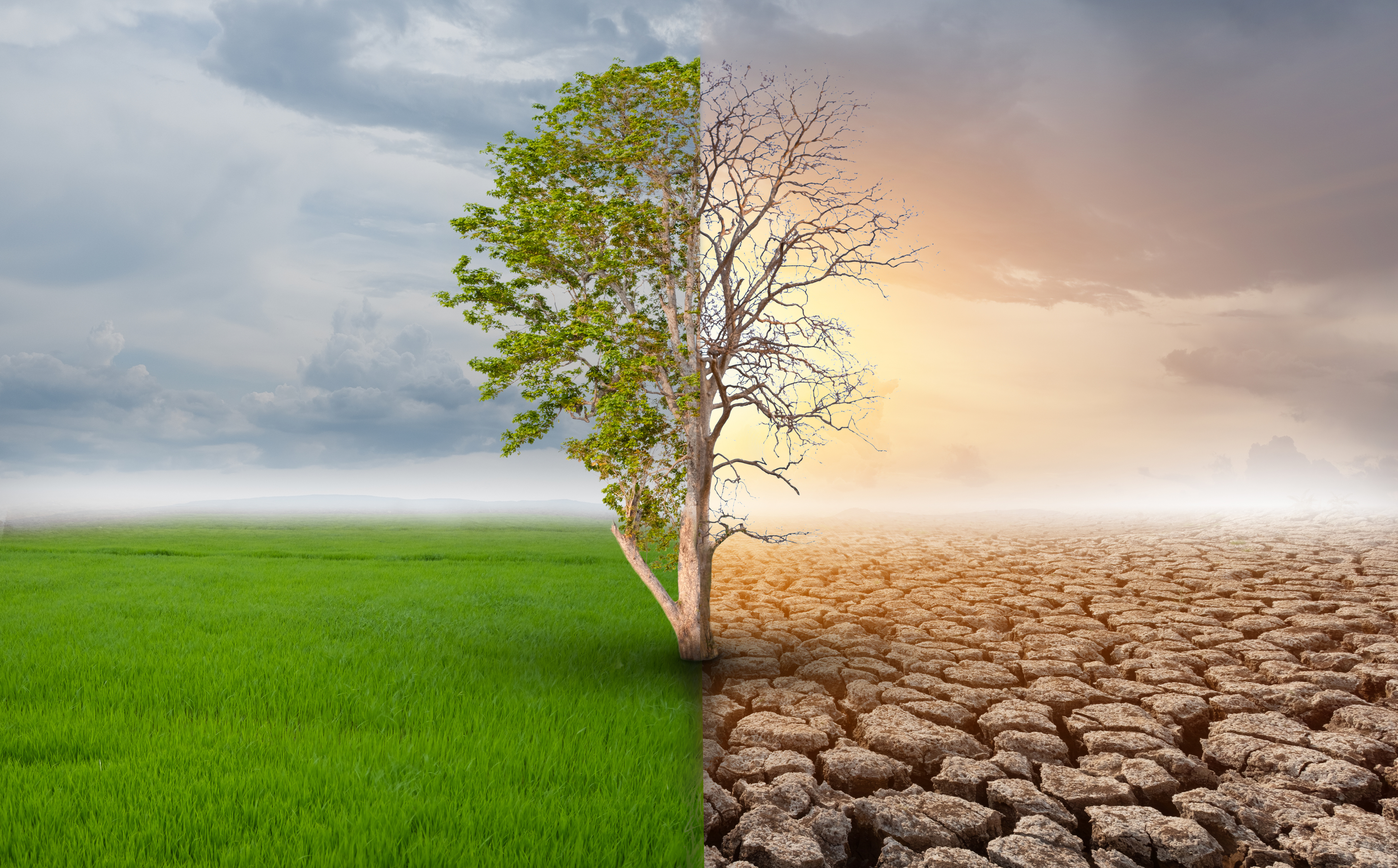 Climate Change and Insurance Coverage